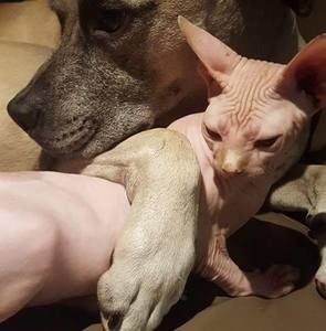 Meet your Posher, Benjamin